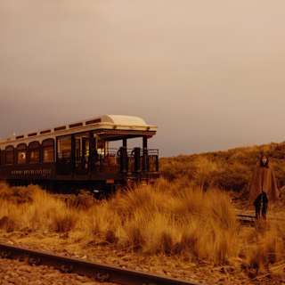 A woman in a brown poncho, camouflaged against the grasses, stands behind the Andean Explorer, viewed across train tracks.